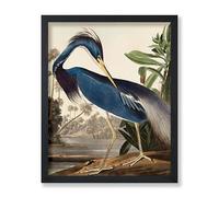 Lmovutcom Vintage James Audubon Poster, Louisiana Heron Canvas Print, Birds of America Art, Gift for Men, Women & Animal Lover, Decor for Bedroom or Living Room, Unframed Wall Art