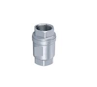 LMPVPDGADZ 1/2" Fit for DN15 Stainless Steel SS304 Check Valve 1000 WOG Thread in-Line Spring Vertical Control Tool Fit for BSPT