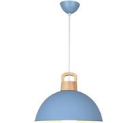 LMRJHAZ Dining Room Chaner - Led Pendant Light Fixtures Industrial Style - Lampshade Chaners Single Head Dining Room Chaner (11.8in)