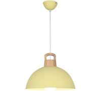 LMRJHAZ Dining Room Chaner - Led Pendant Light Fixtures Industrial Style - Lampshade Chaners Single Head Dining Room Chaner (Green 15.7in)