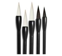 LMUTUNMPA Calligraphy Set For Beginners,Chinese Brush, Kanji Brushes, Writing Japanese Drawing Art Painting，brush pens calligraphy