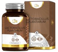 LN Lactobacillus Plantarum | 90 L-Plantarum Capsules - 5 Billion CFU High Strength Probiotic per Serving | Lactobacillus Probiotics | Non-GMO, Gluten & Allergen Free | Made in The UK
