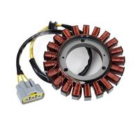 LNBNKZYBPM Stator Coil Fit For BMW R1200GS R1200R R1200RS R1250GS R1250R R1250RS R1250RT 12317724032 12318356824 12318526908 12318406639
