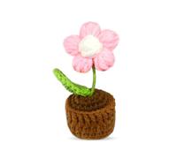 LNEMDP Handmade Crochet Flower Pots, Creative Gifts for Women, Cute Desk Decorations, Suitable Gifts for Bosses, Colleagues, Friends, Birthdays, Christmas and Thanksgiving