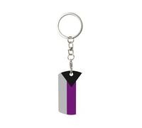 LNFZiZO Demisexual Pride Flag Rectangular Metal Key Chain, Key Fob Car Keychain Holder Gifts Decor For Men And Women Home Office