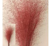 LNGO 140PCs 2 Bundle 40inch Faux Natural Preserved Muhlenbergia Capillaris Mosquito Dried Muhly Grass (Red)