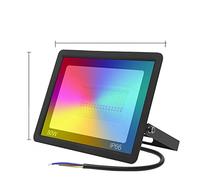 LNHHG Tuya Smart WiFi LED Floodlight 30W 50W 100W Color Changing LED Flood Light IP66 RGB Warm Cool White Vioce Control(50W 220V)