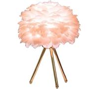 LNNSNE Wrought Iron Night Light with Color-Adjustable Feather Lamp (Pink+Gold)