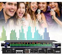 LNNW 31 Band Equalizer, Graphic Equalizer Effect Controller Dj Digital Mixer Processor Dsp Feedback Eliminator for Home and stage