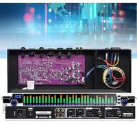 LNNW Graphic Equalizer, Digital Equalizer, Dual Channel 31 Band Equalizer, Independent Signal Conditioning and Pc Debugging for Home and stage