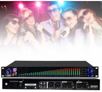LNNW Stereo Audio Mixer, Graphic Equalizer, 31 Band Balanced Effect Controller DJ Digital Mixer Processor DSP Feedback Eliminator for Home and stage(Eq-777s)