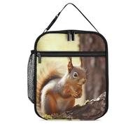 Lnsulation Lunch Box LargeFunny Squirrel Printed Lunch Bag Reusable Lunch Tote Bag,for Man And Women Work, Picnic, And Outdoors