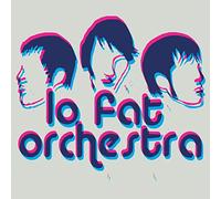 Lo Fat Orchestra - Questions for Honey [Vinyl LP] [VINYL]