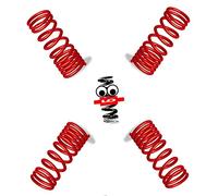 Lo Suspension Lowering Springs 16070 40/20mm compatible with CITROEN BERLINGO Mk2 08-18 VAN & MPV