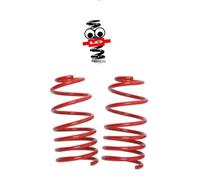 Lo Suspension Lowering Springs FRONTS ONLY 30283VA 20mm compatible with FORD FOCUS ST Mk2 HATCH 04-11 2.5T