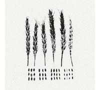 Lo! - The Gleaners [VINYL]