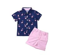 Loalirando Summer Toddler Baby Boys Gentleman Short Sleeve Flamingo T-Shirt Top+ Shorts Pants Casual Outfits Clothes (Blue, 3-4 Years)
