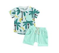 Loalirando Toddler Baby Boys Tropical Theme Summer Outfits 2PCS Set Short Sleeve Tropical Palm Trees Print T-Shirt Tops Solid Colour Short Pants Little Boys Shorts Set (Green 1, 12-18 Months)