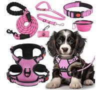 LOBEVE No Pull Dog Harness, Collar & Lead Set | Includes Dog Seat Belt, Collapsible Bowls & Poo Bags Dispenser | Ideal for Training, Walking, Hiking | Fits Small to Large Dogs