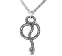 LOBON Animal Necklace for Men Women Creative Spider Snake Goat Shape Pendant Stainless Steel Amulet Necklace Jewelry Gift, Stainless Steel, No Gemstone