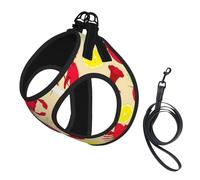 Lobster And Crab Print Dog Harness Small Sized And Leash Set, Step In Soft Light Puppy Vest Breathable Mesh Pet Harness