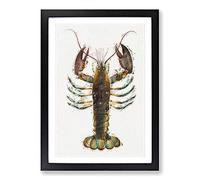 Lobster by J.E. De Kay Framed Print | A2 Black Framed Wall Art | Ready to Hang | Modern Animal Picture | Living Room Bedroom Lounge Office