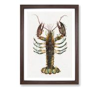 Lobster by J.E. De Kay Framed Print | A2 Walnut Framed Wall Art | Ready to Hang | Modern Animal Picture | Living Room Bedroom Lounge Office