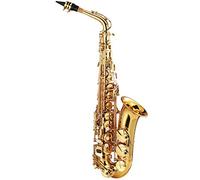 LOCADENCE E Flat Alto Saxophone, Brass Electrophoresis Gold Sax Full Kit with Mouthpiece Carekit Box for Beginners Teaching Stage Performances