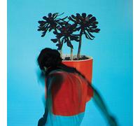 LOCAL NATIVES - Sunlit Youth