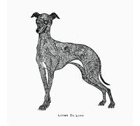 Locas in Love - Use Your Illusion 3&4 (2LP) [Vinyl LP] [VINYL]