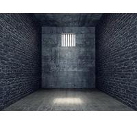 Loccor 10x8ft Fabric Jail Backdrop Halloween Prison Cell Picture Mugshot Background Prison Bars Murder Crime Theme Party Gangster Party Decoations Kids Adults Photoshoot Studio Props