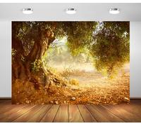 Loccor 10x8ft Fabric Olive Tree Garden Backdrop Mediterranean Olive Grove Old Trees Sunshine Wonderland Background Rural Forest Scenery Home Wall Decor Photo Props