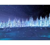 Loccor 7x5ft Fabric Winter Forest Night Backdrop for Photography Snow Covered The Mysterious Night Forest Starry Sky Night Background Winter Christmas New Year Party Decorations Photoshoot Props
