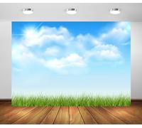 Loccor 8x6ft Fabric Spring Grassland Backdrop Grass Land with Blue Sky White Clouds Natural Scenery Background for Kids Birthday Party Decorations Newborn Baby Shower Photo Studio Props