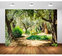 Loccor 9x6ft Fabric Jerusalem Olive Garden Backdrop Ancient Gethsemane Garden Olive Grove Trees Jerusalem Israel Background Christian Religious Church Banner Decor Photo Props