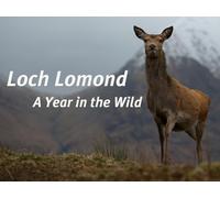 Loch Lomond : A Year In The Wild