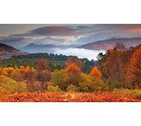 Loch Lomond and The Trossachs National Park, Scotland, 200 Piece Jigsaw Puzzle for Adults and Kids 35x25CM
