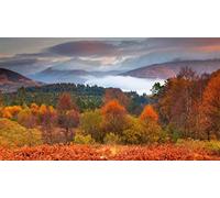 Loch Lomond And The Trossachs National Park, Scotland, Puzzle 1000 Pieces Jigsaw Puzzles for Adults and Child 26x38CM