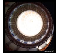 Loch Lomond - Night Bats / White Dresses [VINYL]