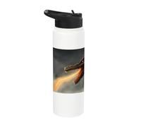 Loch Ness Monster the Fire Breathing Dragon Stainless Steel Insulated Water Bottle