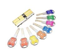 Lock Barrel Door Lock Brass Cylinder Double Open Sided Break Anti Pry Stainless Steel Bar Snake Groove Color 8 Keys(100(37.5-62.5))