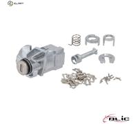 BLIC 6010-05-013427PP Lock Cylinder
