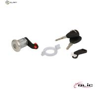 4x ✅Fits BLIC 6010-09-002425P Lock cylinder 6010-09-002425P Lock car ⭐UK Seller⭐