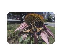 Lock Edge Floor Mat Hem 40x60 WHJSHOP Butterfly Picking Flowers Picture for Toilet, Dressing Table, Vacation Home, Master Bathroom, Children's Bathroom, and Guest Suite
