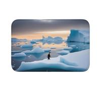Lock Edge Floor Mat Hem 40x60 WHJSHOP Penguin Antarctica Ice Picture for Toilet, Dressing Table, Vacation Home, Master Bathroom, Children's Bathroom, and Guest Suite
