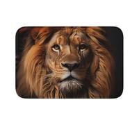 Lock Edge Floor Mat Hem 40x60 YYHHAOFA The Lion's Gaze Pattern for Toilet, Dressing Table, Vacation Home, Master Bathroom, Children's Bathroom, and Guest Suite