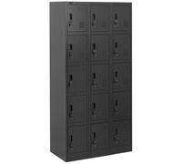 Locker 15 Shelves Lockable 200 kg - Storage Lockers for Staff by Fromm & Starck Anthracite,Black