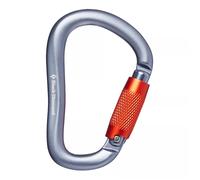 Black Diamond RockLock TwistLock Carabiner Grey