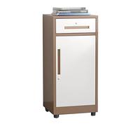 Locking Vertical Filing Cabinet - Secure 1 Drawer & Door Storage for Organized Home Office, Durable Design