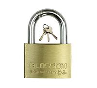 Locks, Brass Key Padlock with 3 Keys,Waterproof and Rust-Proof Security Anti-Theft Lock,Optional Short Beam and Long(Style1,25mm)